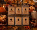 Fall Wax Melt Sampler